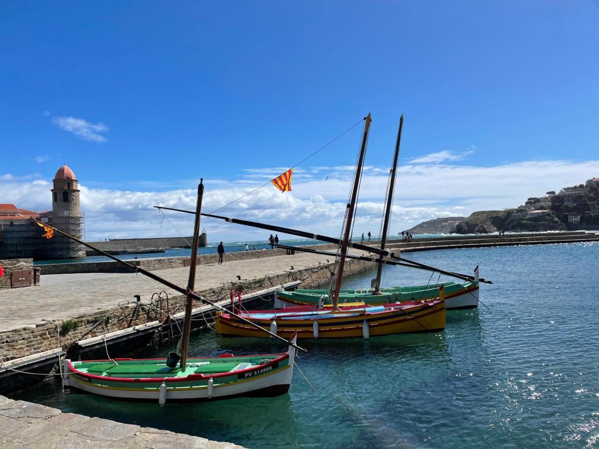 Collioure, 2 Pièces, 4 Personnes - Fr-1-309-143